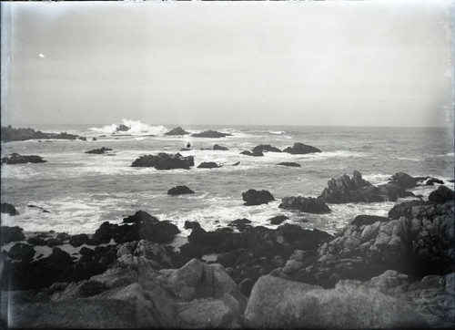 Pacific Grove coastline