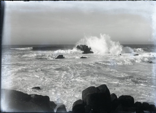 Pacific Grove coastline