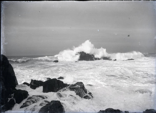 Pacific Grove coastline