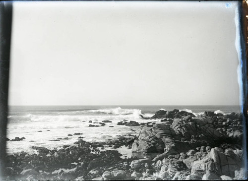 Pacific Grove coastline