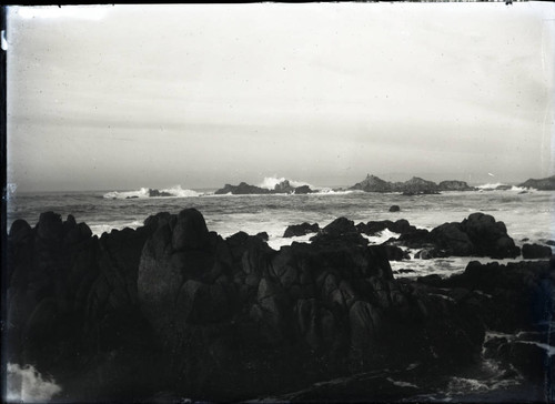 Pacific Grove coastline