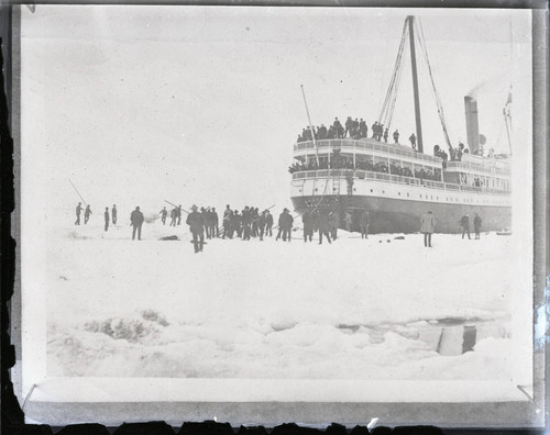 Steamship in sea ice