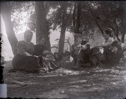 Boynton family picnic