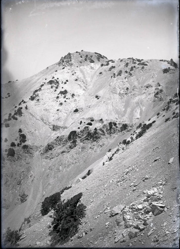 Mount Baldy