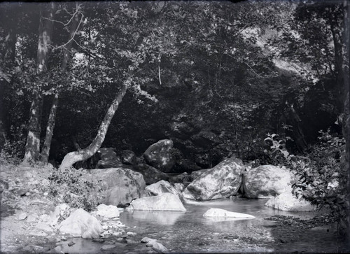 Mountain stream