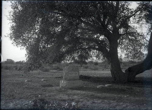 Grave of Norton family