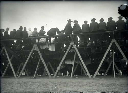 Spectators at Pomona College field day