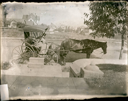 Woman in horse-drawn carriage, Los Angeles