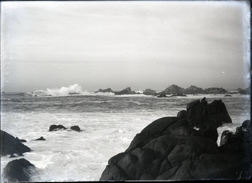 Pacific Grove coastline