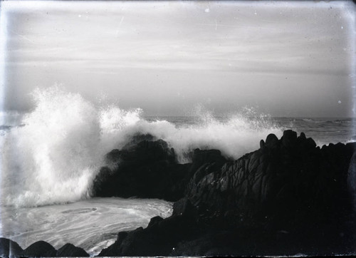 Pacific Grove coastline