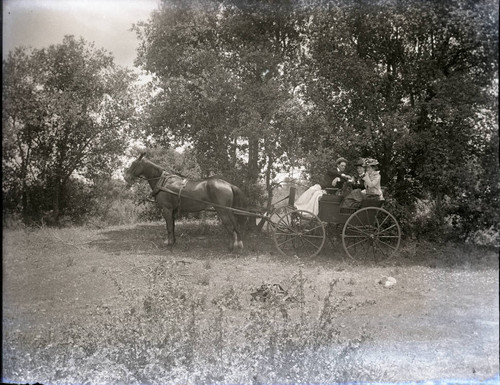 Horse and buggy with three young people