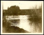 Photograph of aquatic body with vegetation