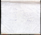 Memorandum written by George Chaffey, Jr., 1883-07-01