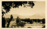 Postcard of "Old Baldy" and Oranges