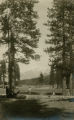 Mt. Baldy from Brown's Flats