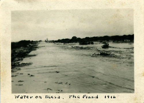 Flood, 1916