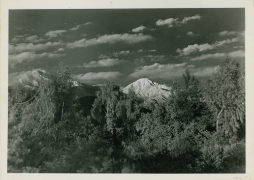 Mt. Baldy