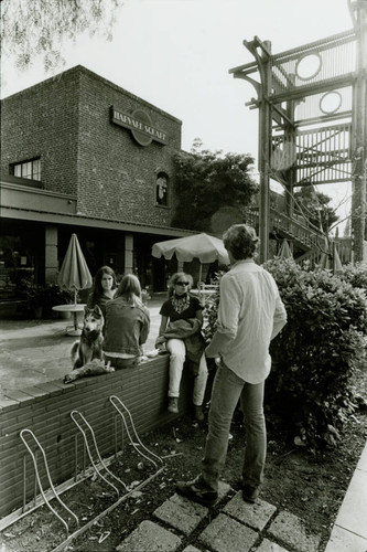 Harvard Square