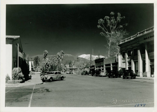 Yale Avenue, 200 block