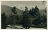 Postcard of Mt. Baldy