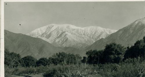 Mt. Baldy