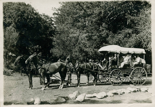 Camp Baynham bus