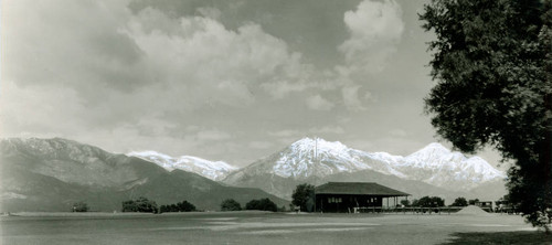 Mt. Baldy