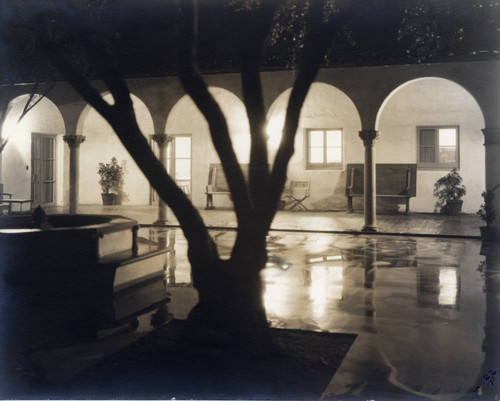 Olive Court at night, Scripps College