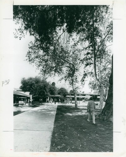 Students walking, Claremont McKenna College