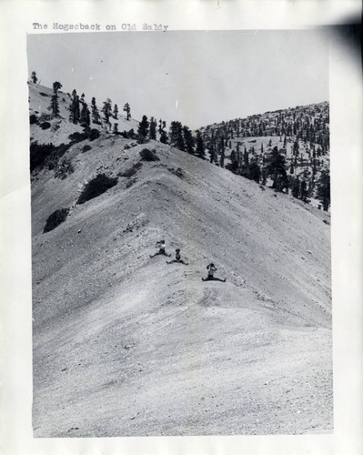 "The Hogscback on Old Baldy"