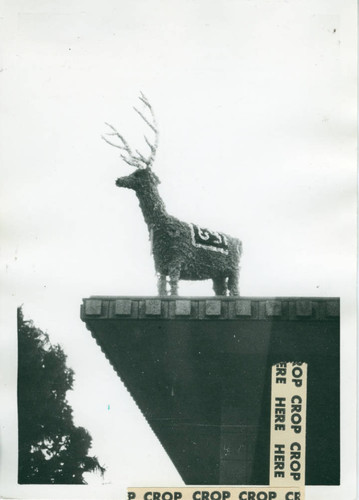 Sports mascot, Harvey Mudd College