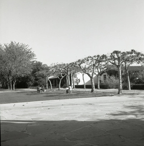 Lang Art Building lawn, Scripps College