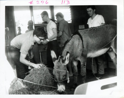 Donkey, Harvey Mudd College