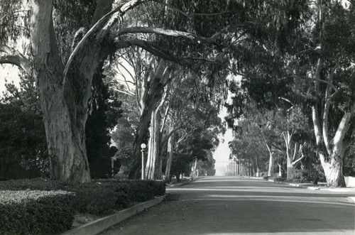 College Avenue, Fourth Street, Pomona College