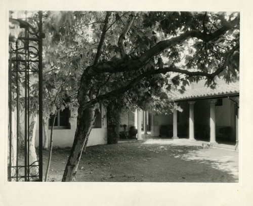 Sycamore Court, Balch Hall