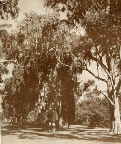 College Avenue, two students walking, Pomona College