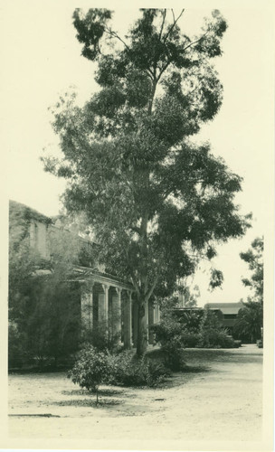 Rembrandt Hall, Pomona College