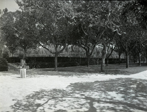 Elm Tree Lawn at Scripps College