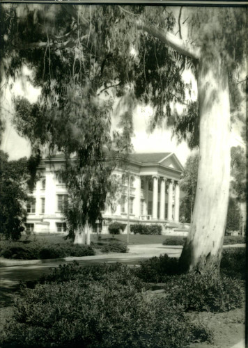 Carnegie Hall Library and tree, Pomona College