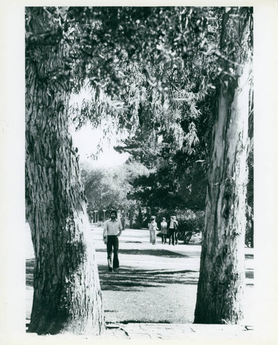 Students walking, Claremont McKenna College