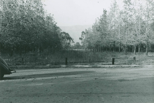 Liquidambar Mall, Harvey Mudd College