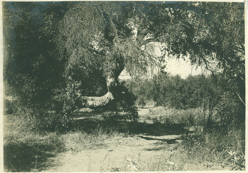 Blanchard Park, Pomona College