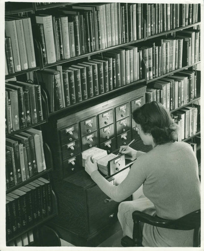 Looking for books in the library at Harper Hall