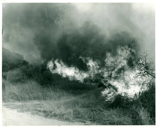 Blanchard Park during fire, Pomona College