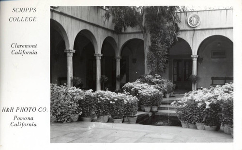 Potted plants in Eucalyptus Court, Scripps College