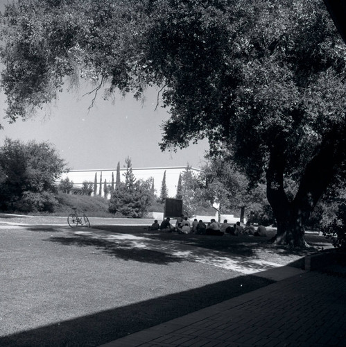 Outdoor class, Claremont McKenna College