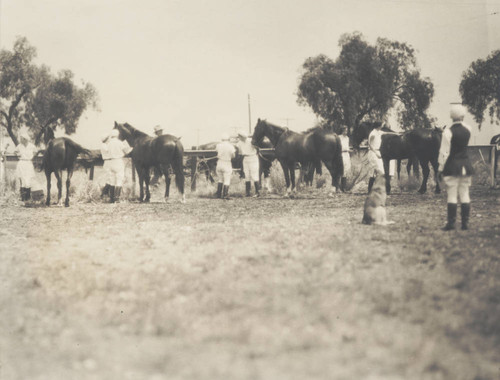 Students with horses, Scripps College