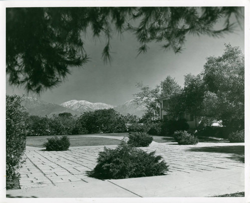 Plants, Claremont McKenna College