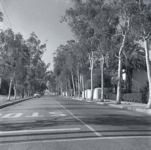 Columbia Avenue, Scripps College