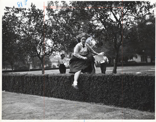 Dawn Gardner jumping over a hedge in Jaqua quad